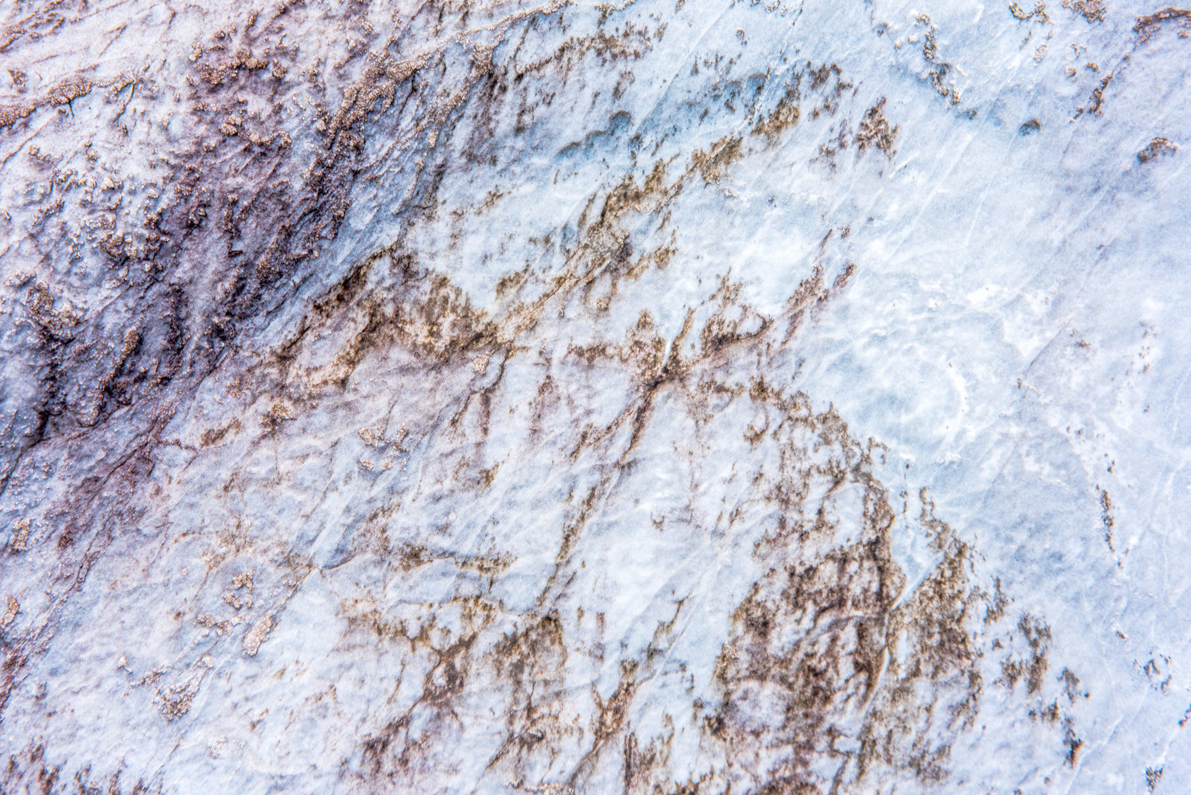 Foto de BOSQUINHO LACERDA 11