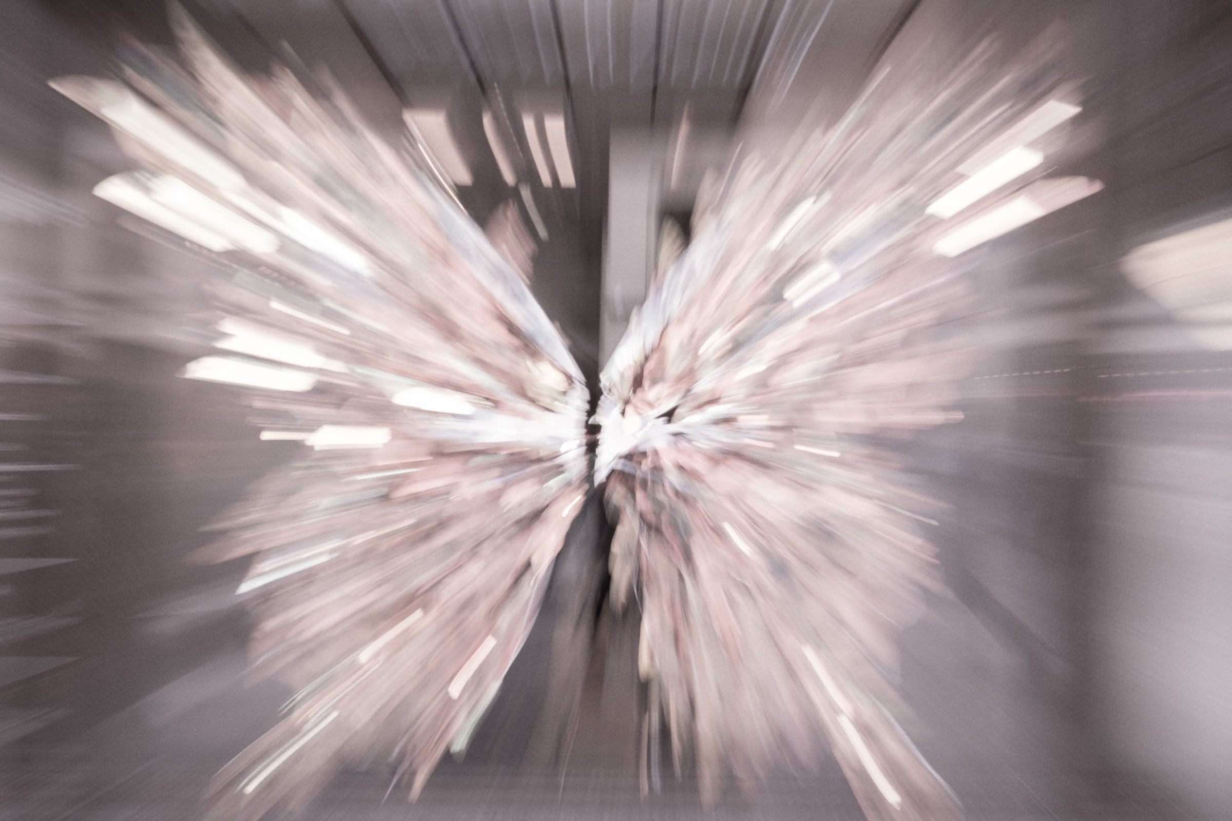 Foto de BOSQUINHO LACERDA 9