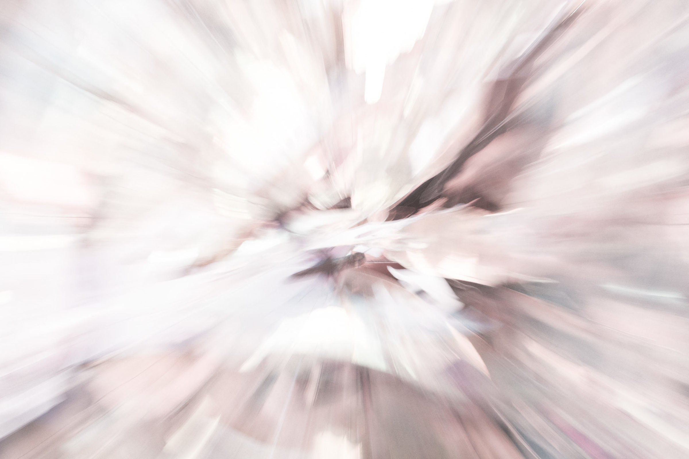 Foto de BOSQUINHO LACERDA 8