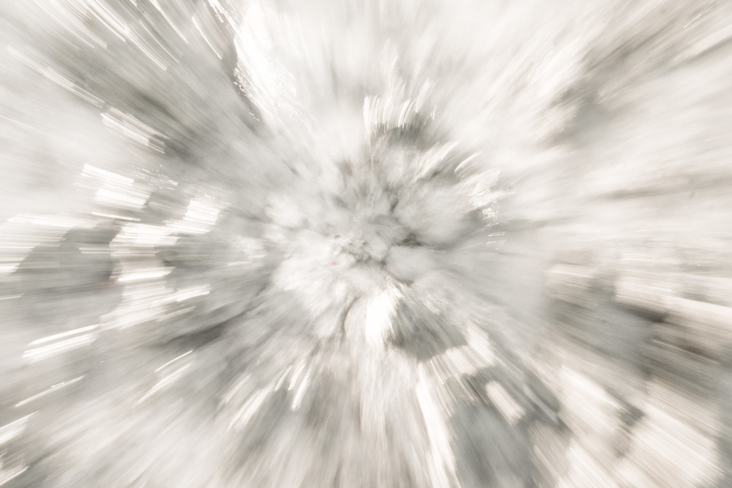 Foto de BOSQUINHO LACERDA 0