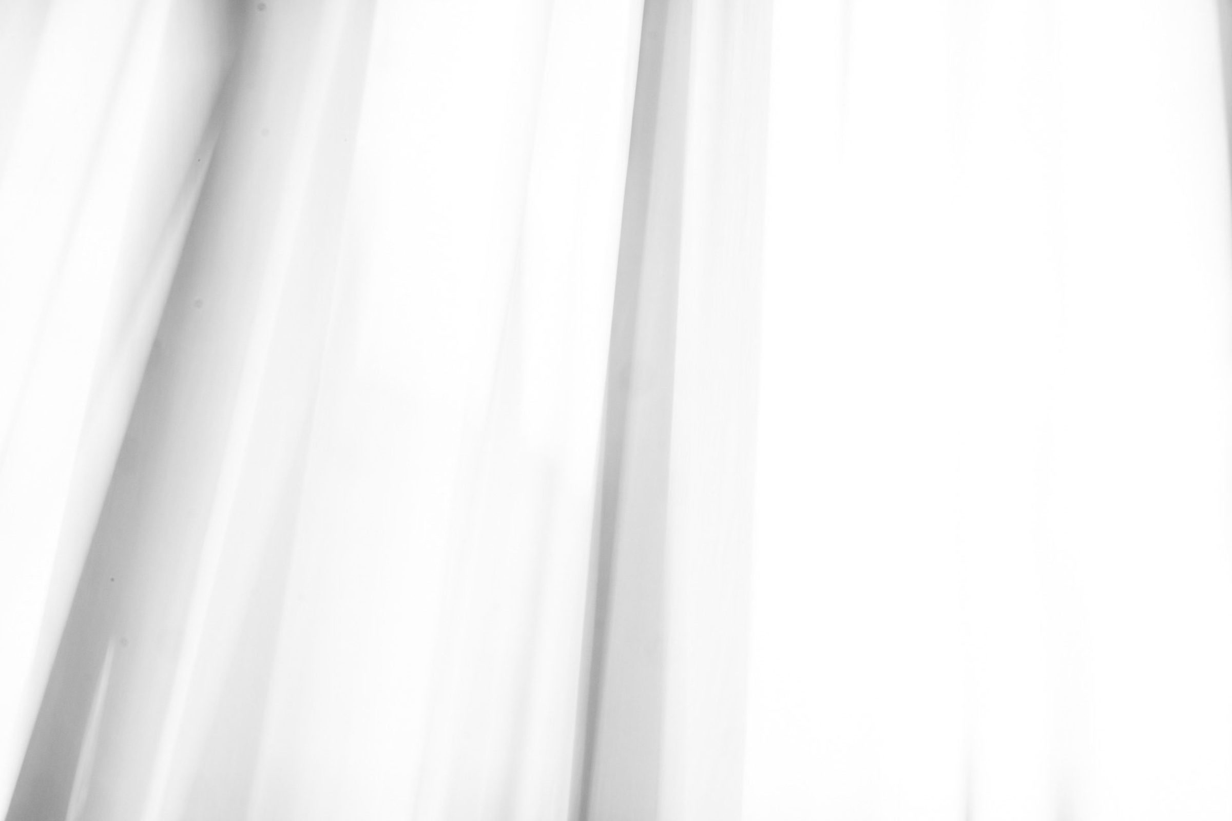 Foto de BOSQUINHO LACERDA 5